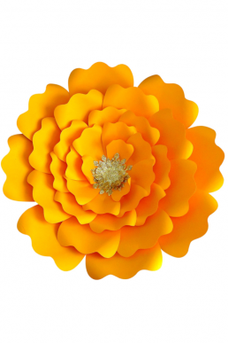 Molde de Flor Alba
