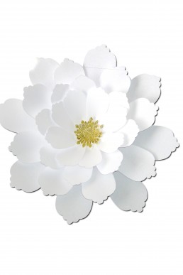 Molde de flor Blanca para descargar Gratis