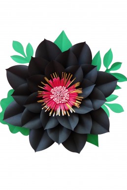 Molde de flor Black and Pink para descargar Gratis