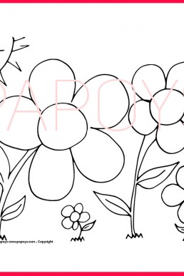 Flowers 2 drawing for free download