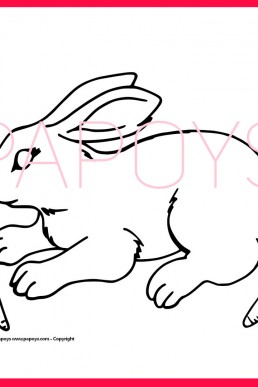 Drawing of rabbit with carrots to download for free