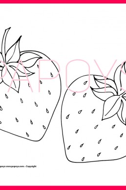 STRAWBERRIES drawing for free download