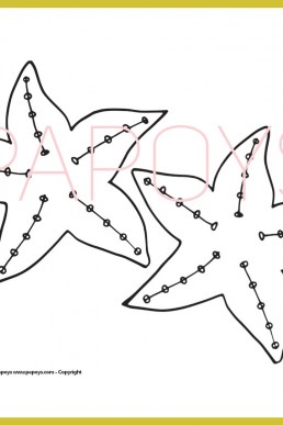 Starfish drawing for free download