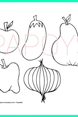 VEGETABLE drawing for free download