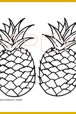 Pineapple drawing for free download