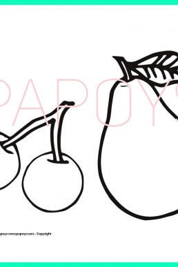 Apple and cherry drawing for free download